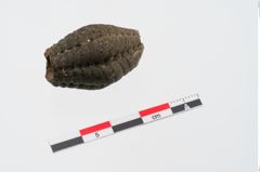 Foto von Glasmelonenperle (NHMW-PRAE-024747)